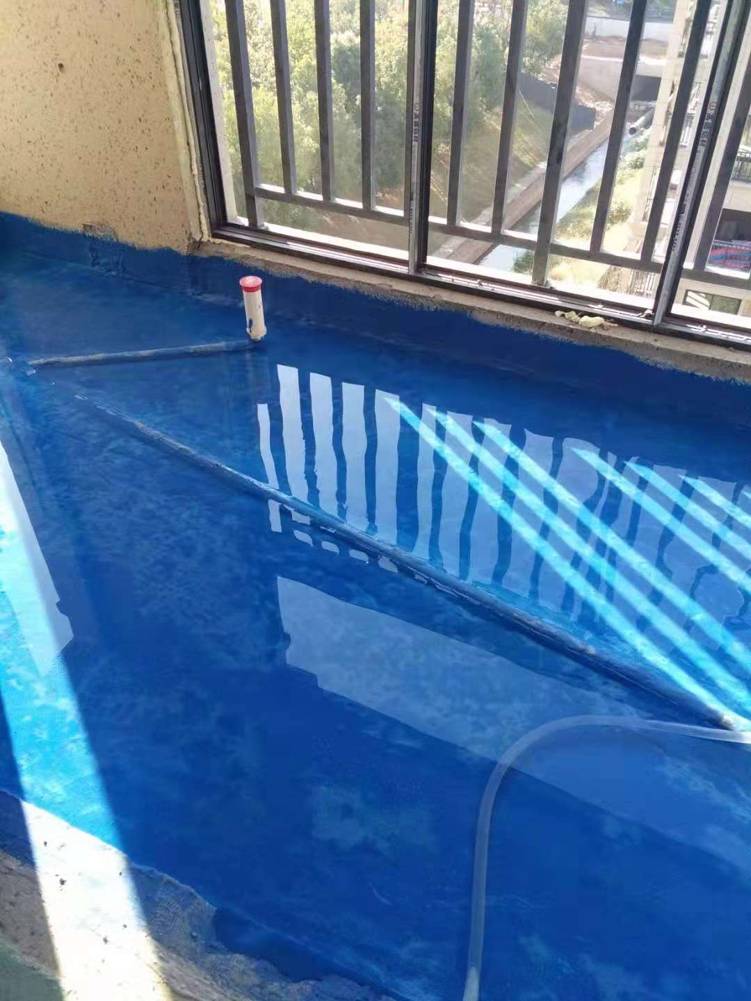 505180011443782669.jpg