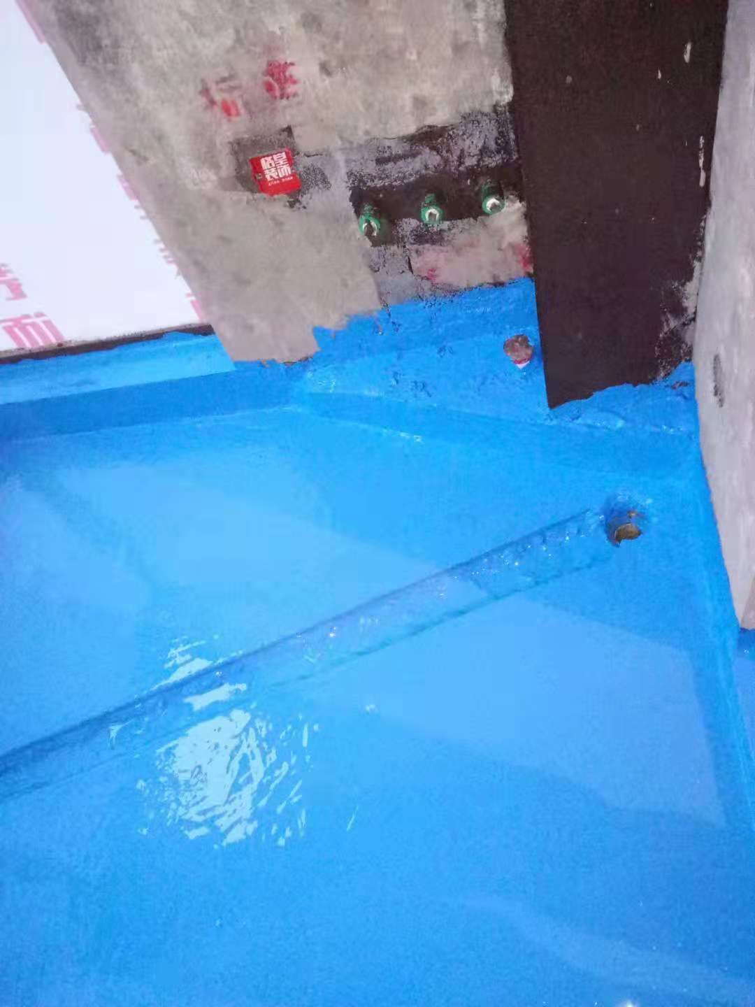 825696170958356946.jpg