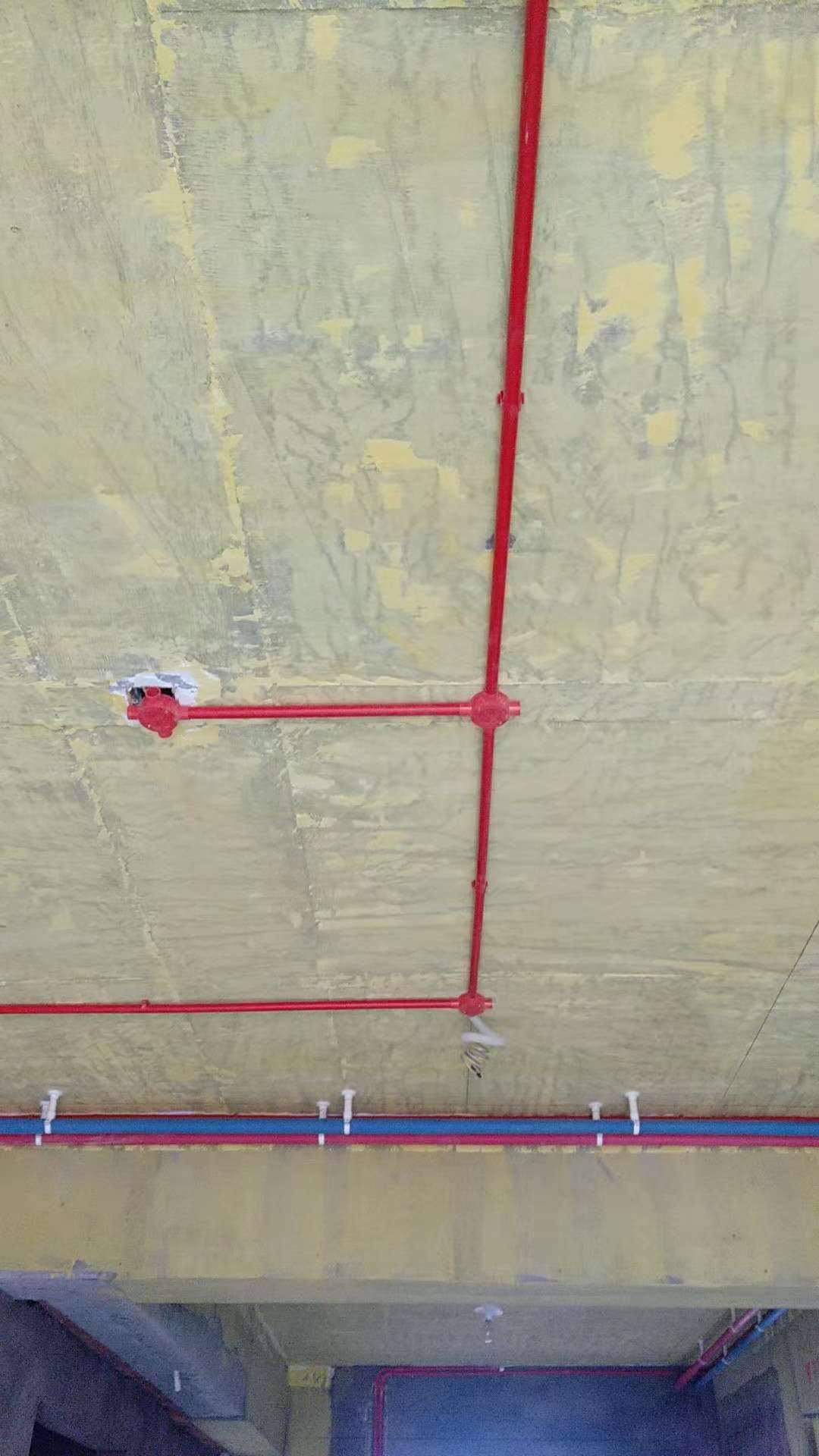 593331274012723487.jpg