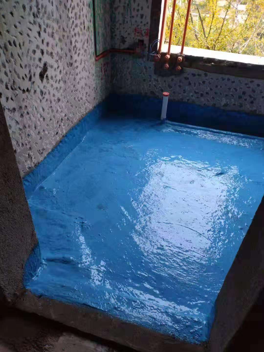 96508628877752814.jpg