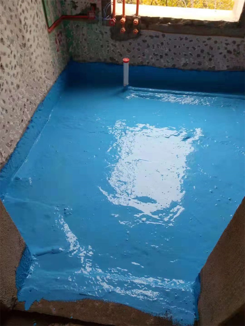 787329936998616960.jpg