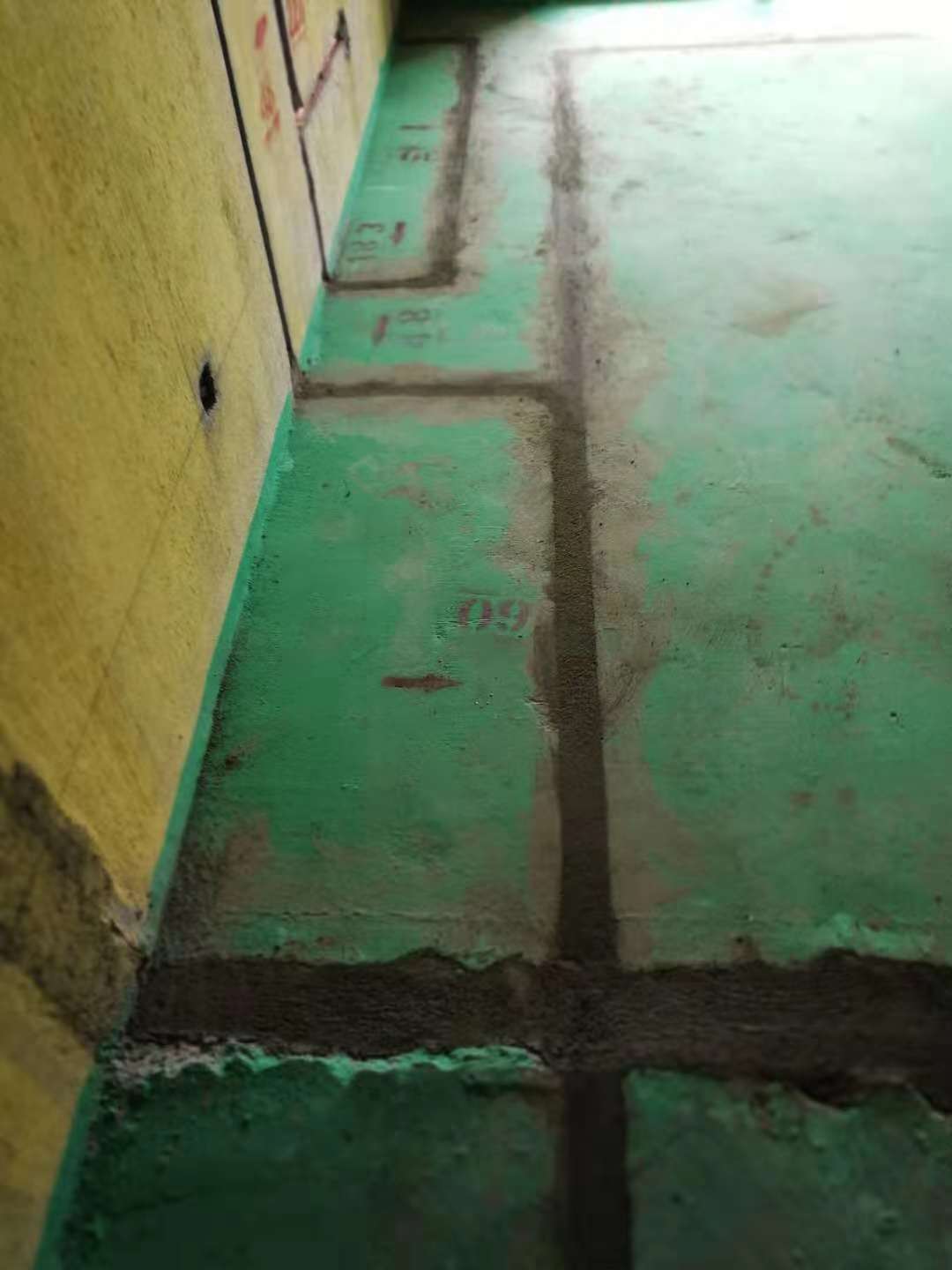 81515046311610621.jpg
