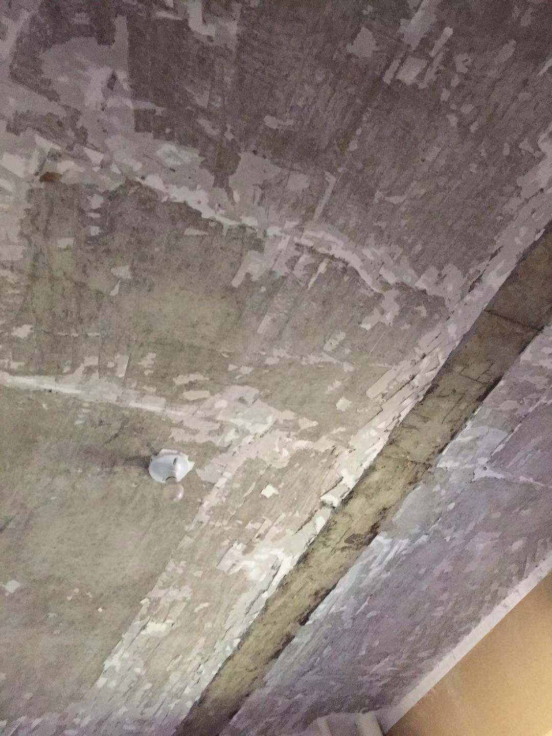 93024506874342308.jpg
