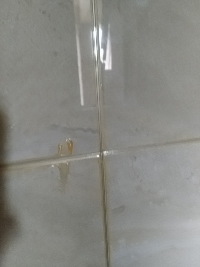 IMG_20181108_093311.jpg