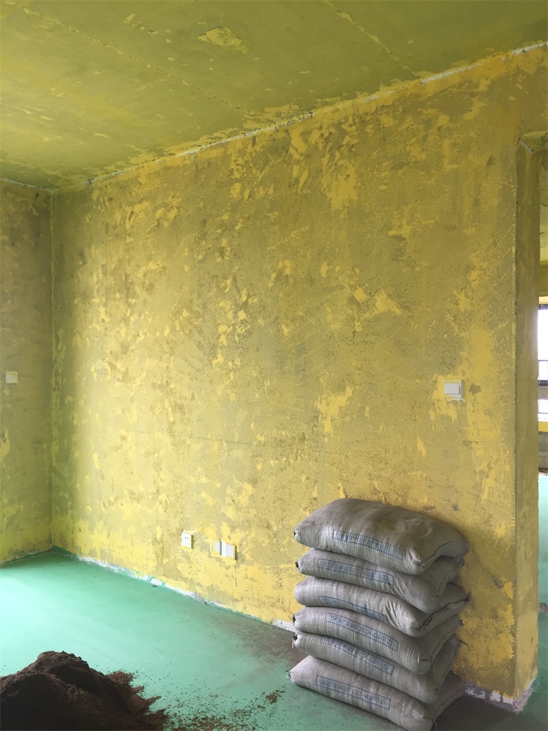 IMG_2729.JPG