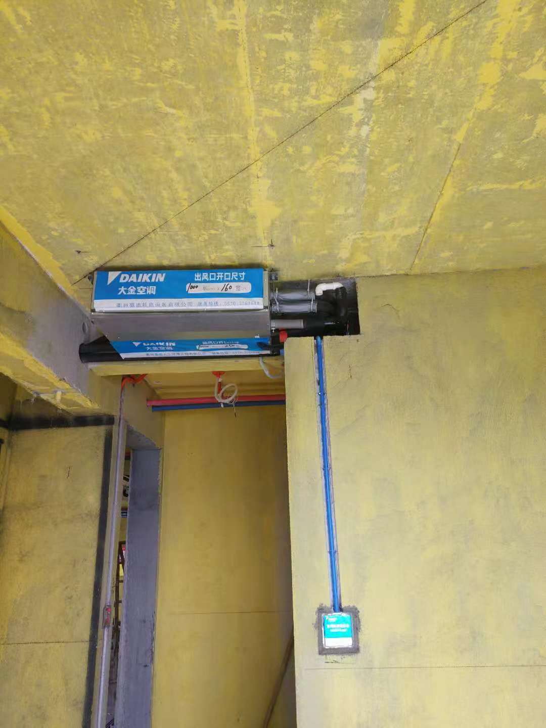 786851039946971942.jpg