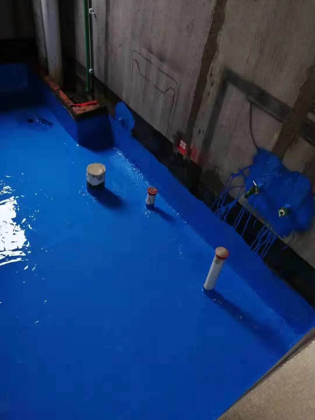 736683126715177108.jpg