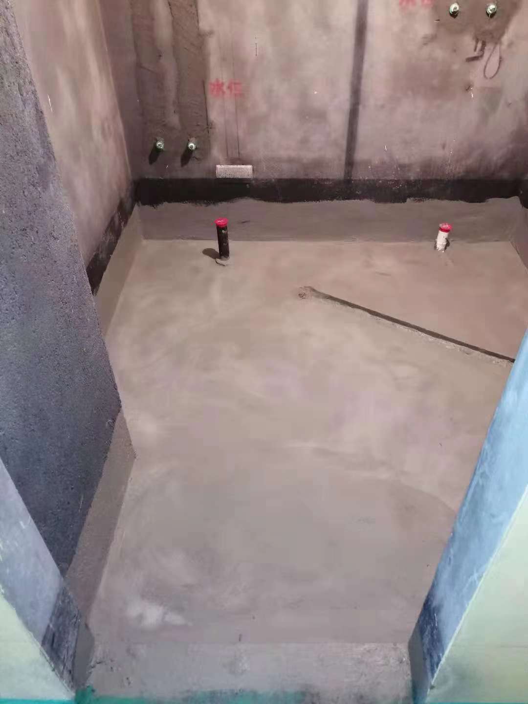 12217396811948888.jpg