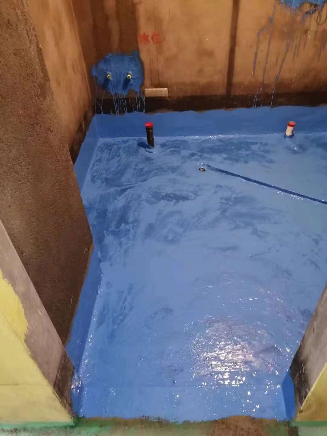 680481685442687544.jpg