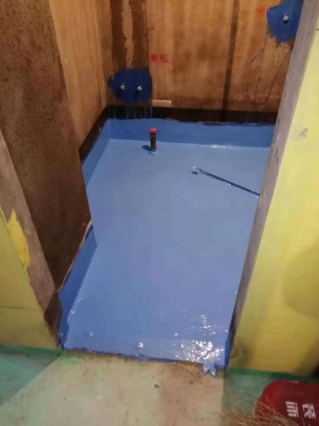 898717515981042886.jpg