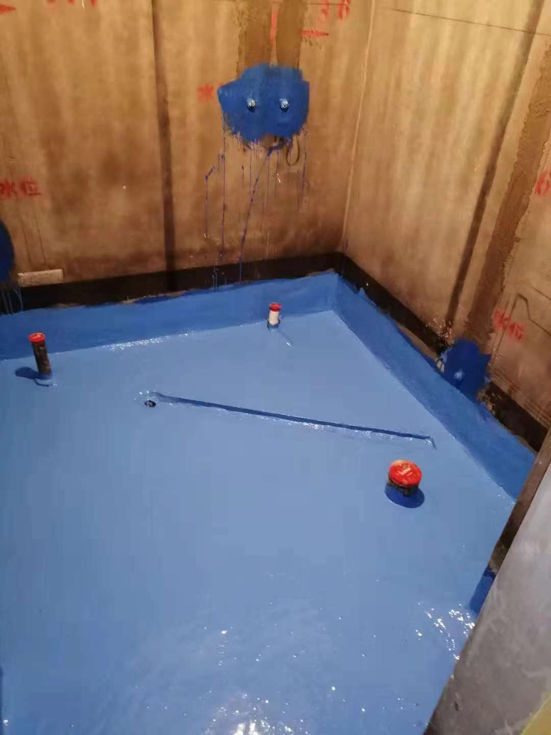 915977444185677655.jpg