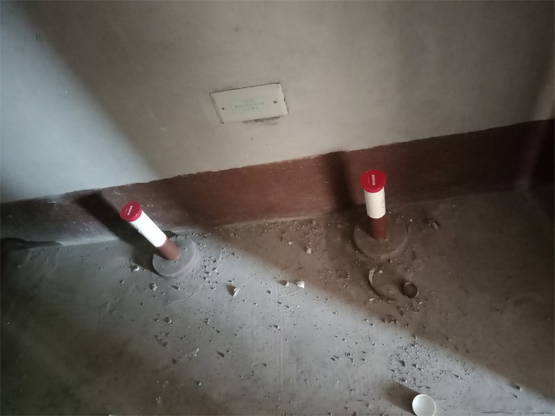 IMG20181123082626.jpg