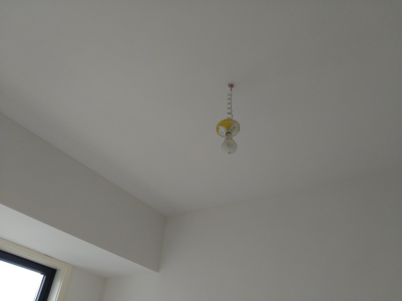 IMG_20181118_083637.jpg