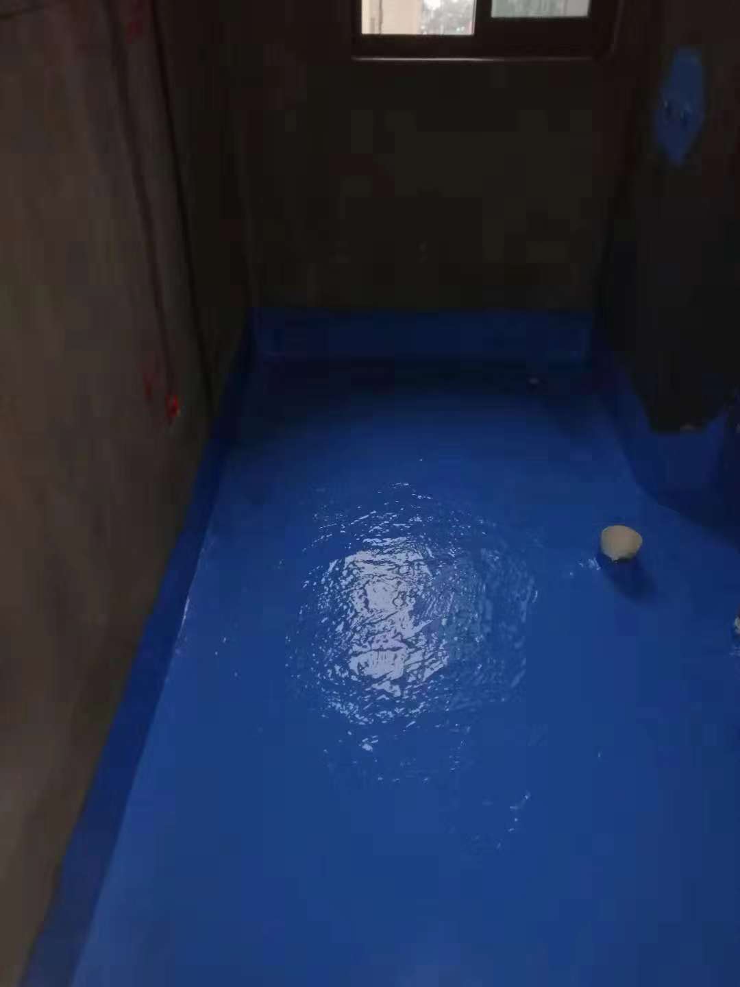 851625141077984300.jpg