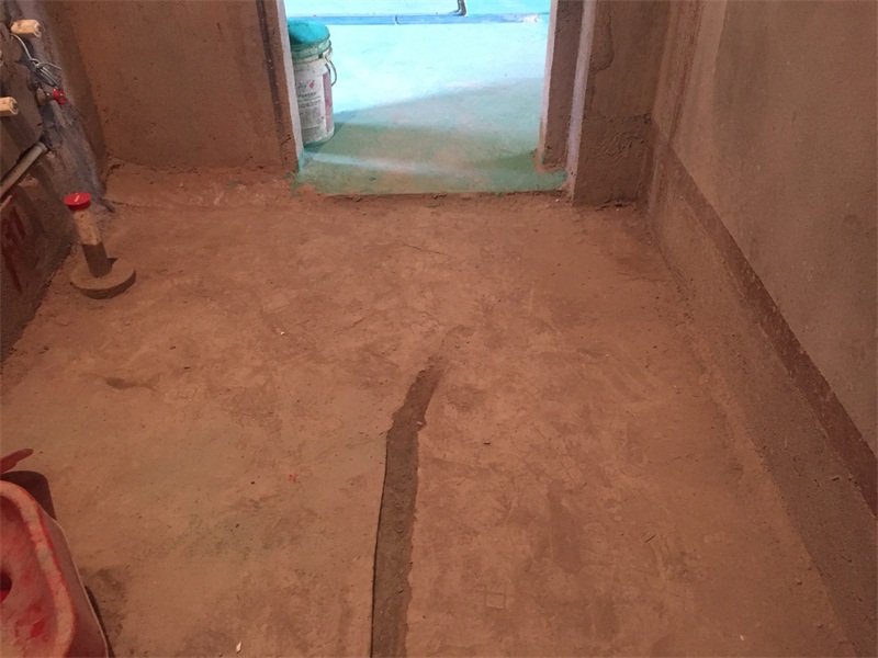 IMG_2806.JPG