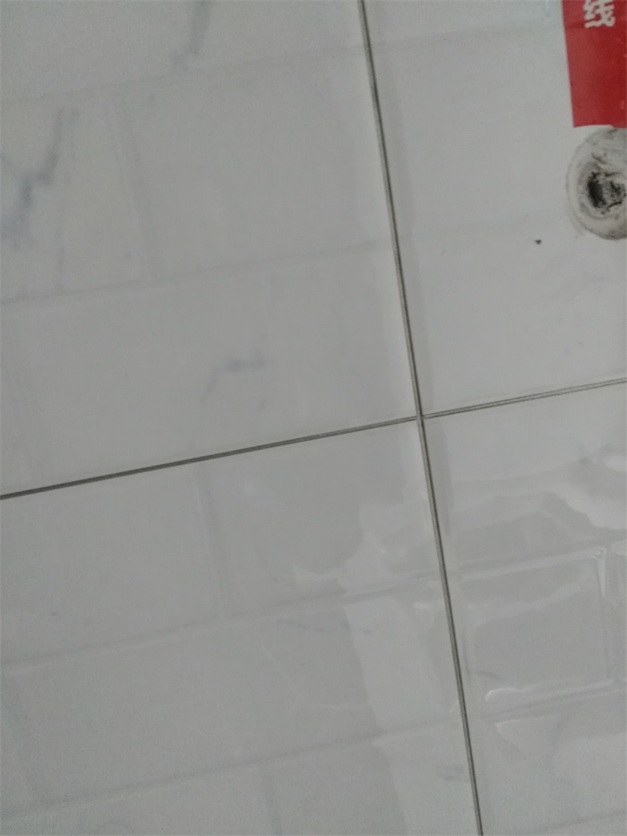 IMG_20181209_135804.jpg