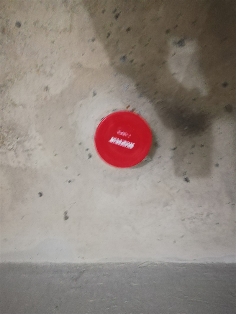 IMG_20181207_100042.jpg