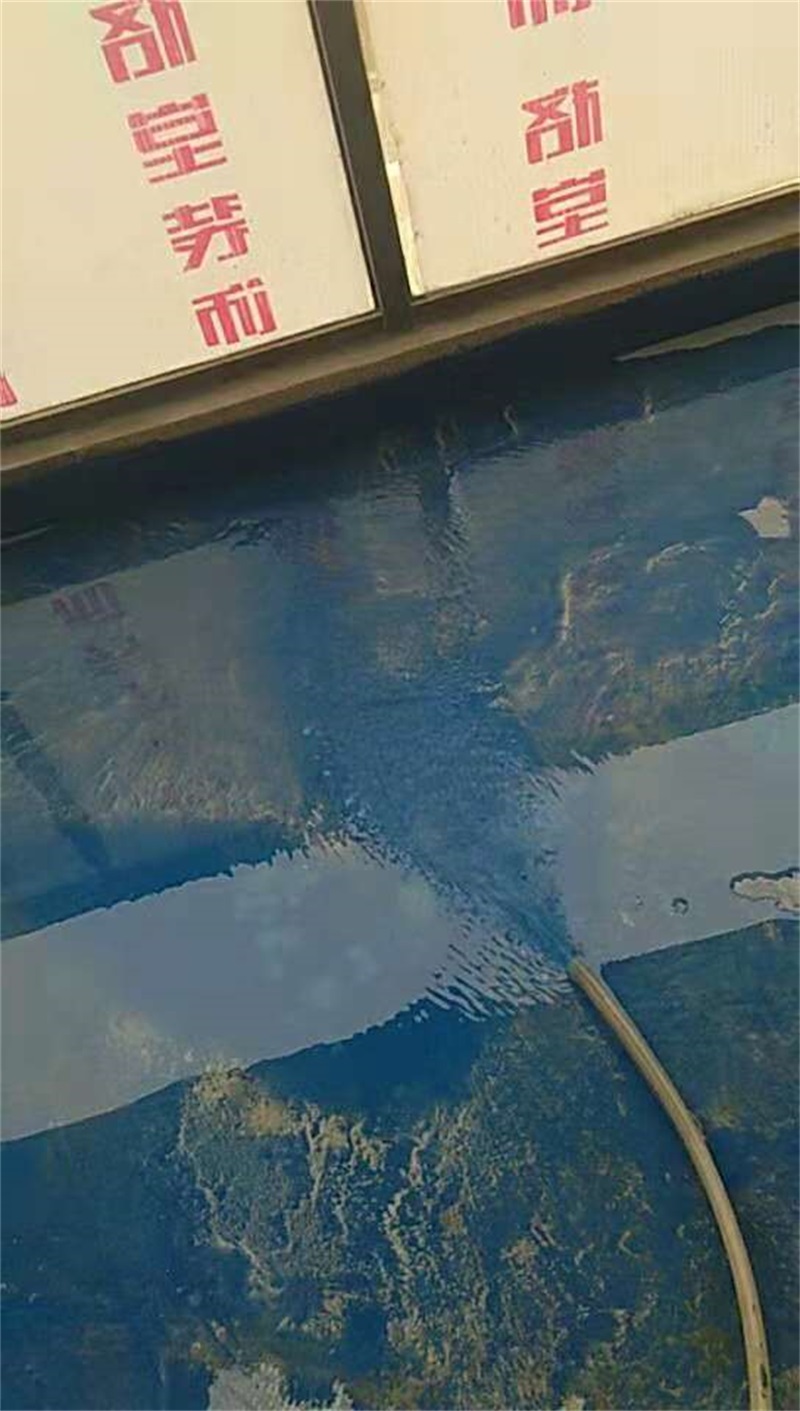647534122505985227.jpg