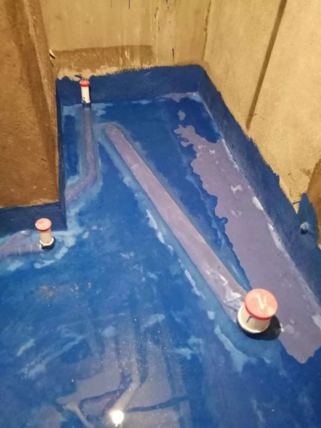 820219471666454485.jpg