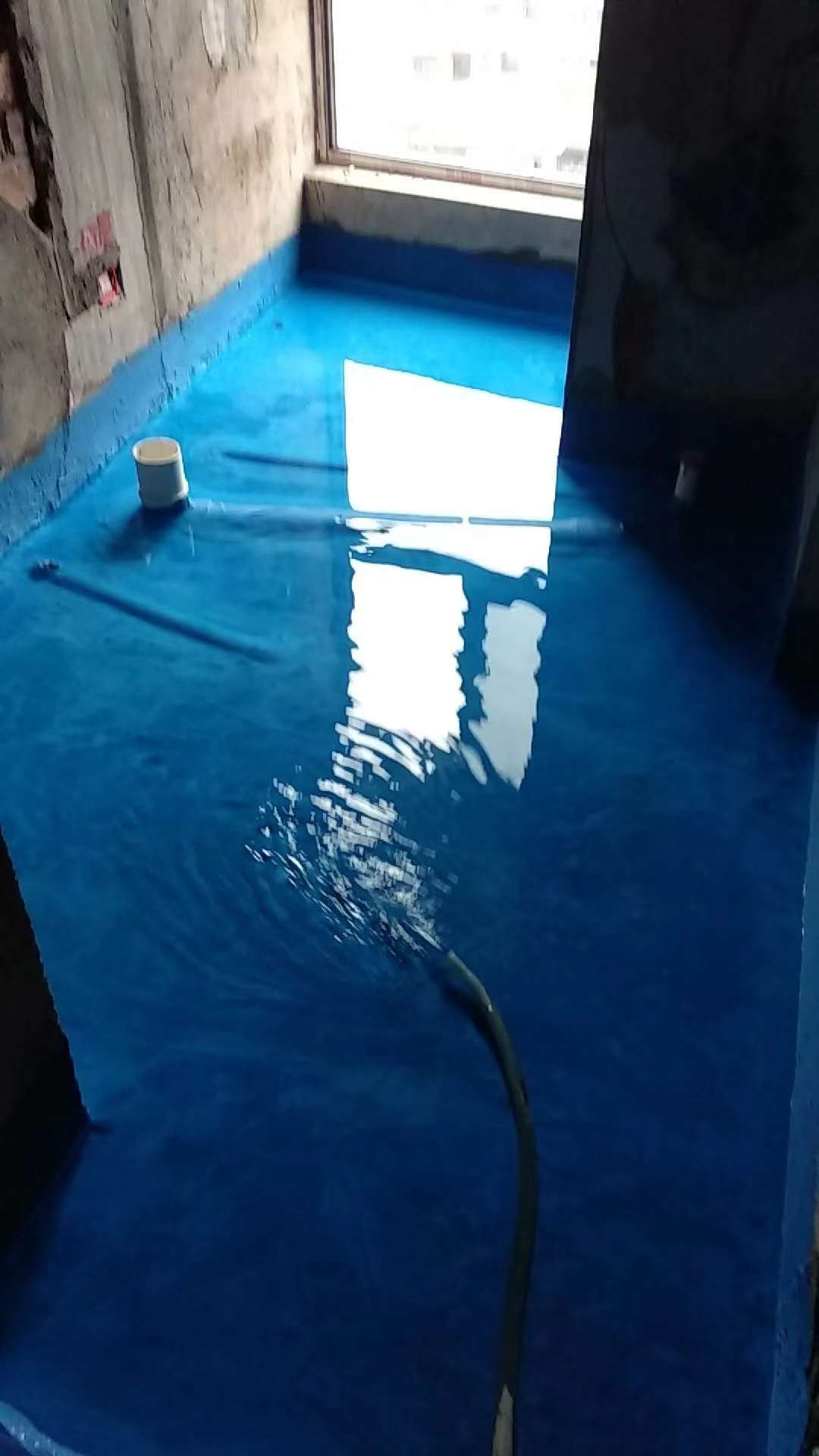 252087653860799814.jpg