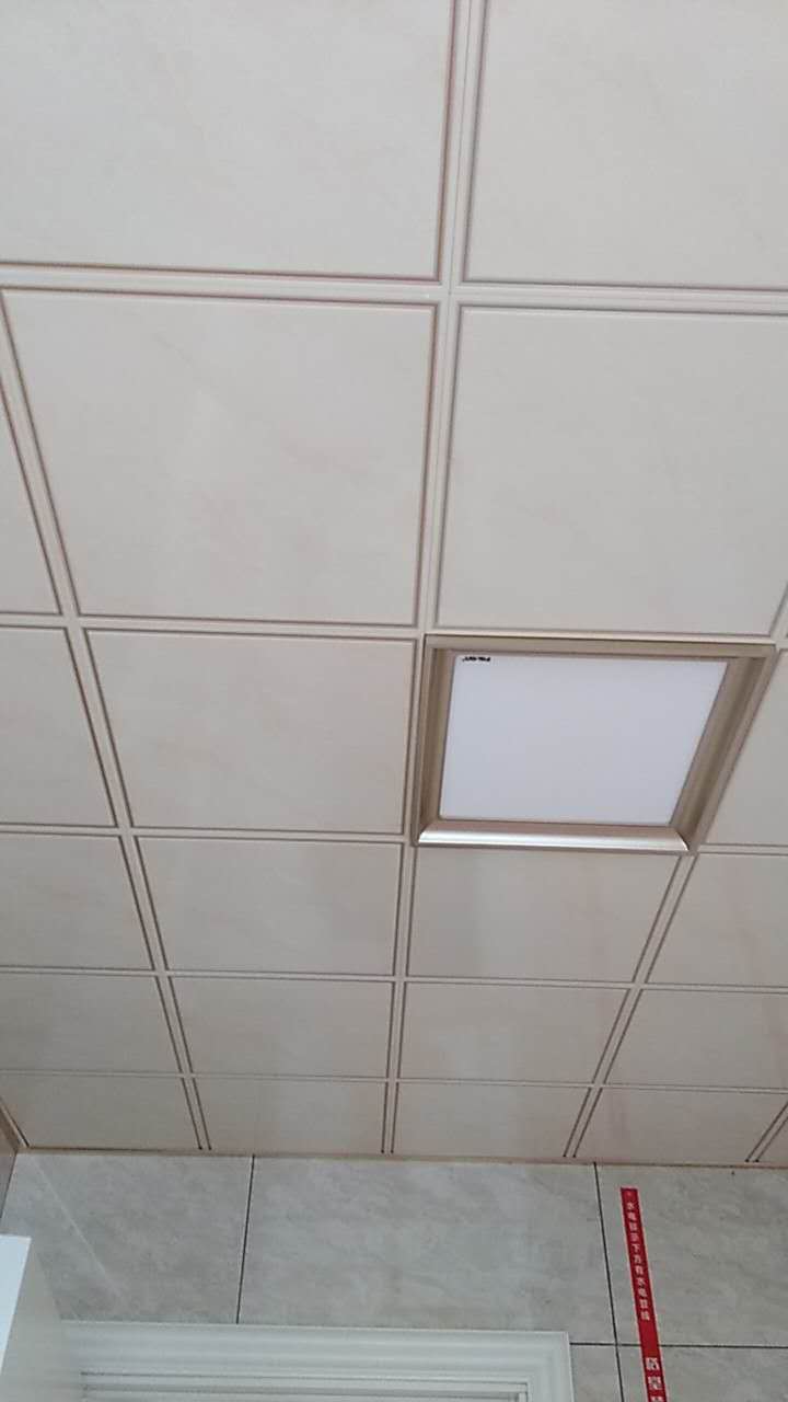 246010287442389479.jpg
