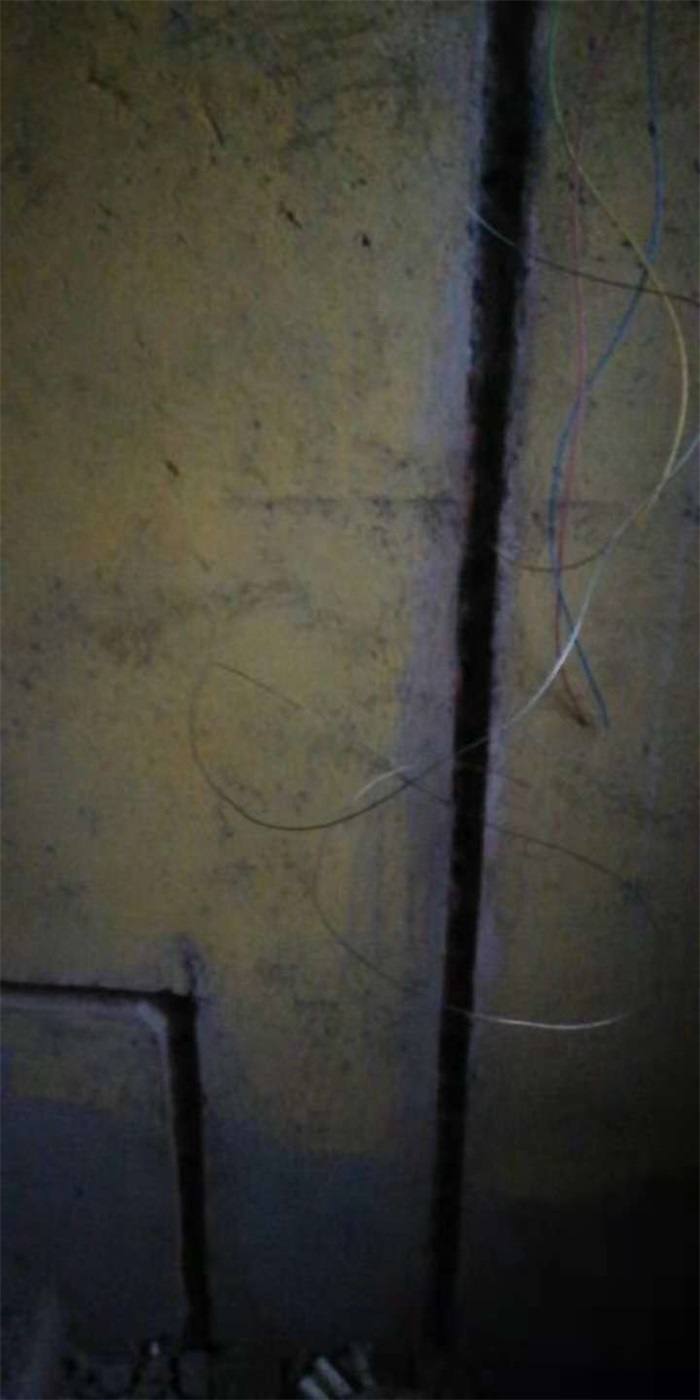 890021550494909756.jpg