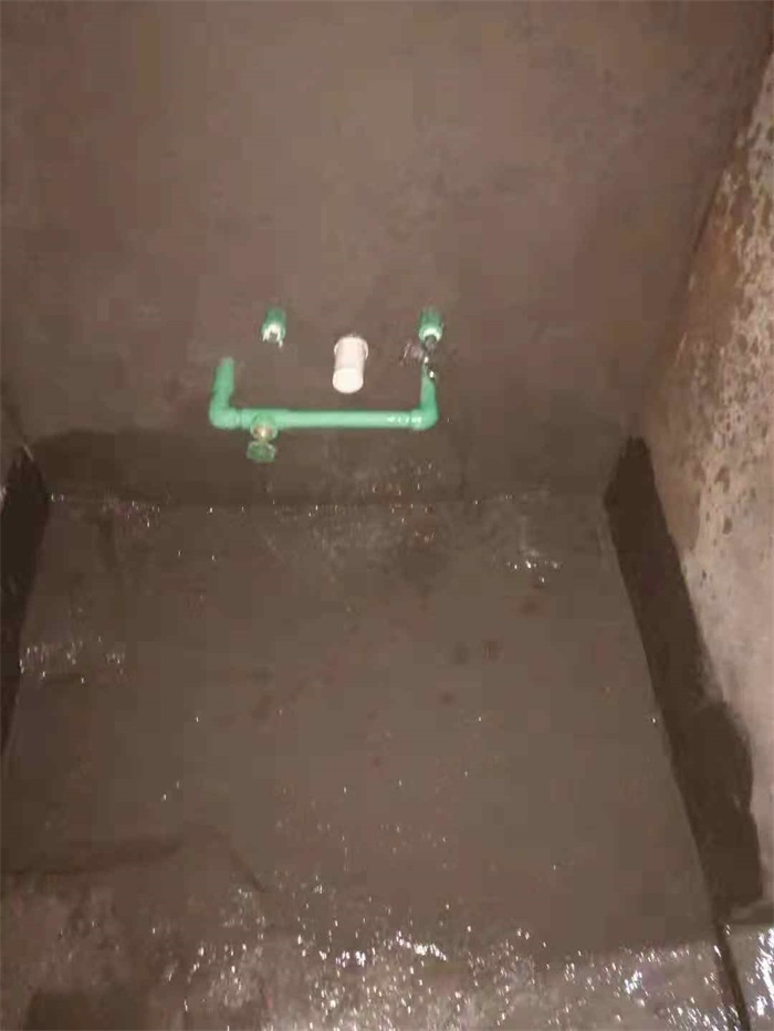 485282899747154481.jpg