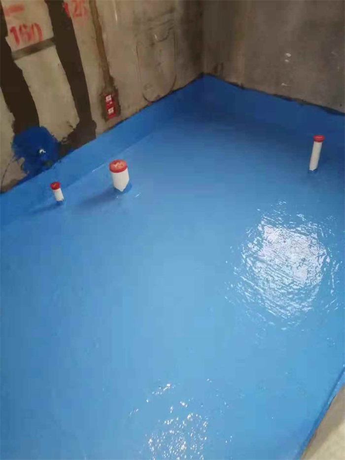 204972233615699693.jpg