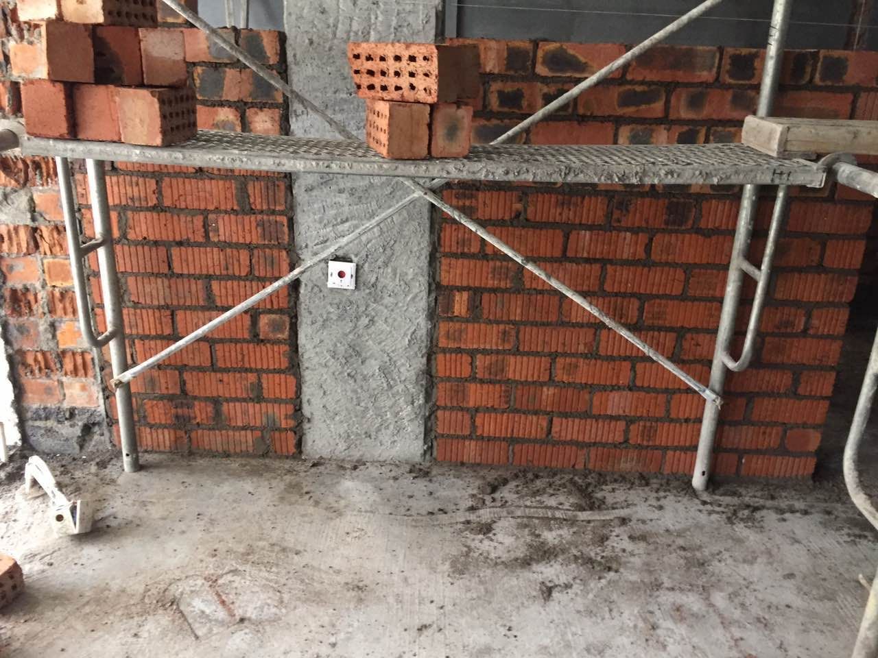 mmexport1543391449054.jpg