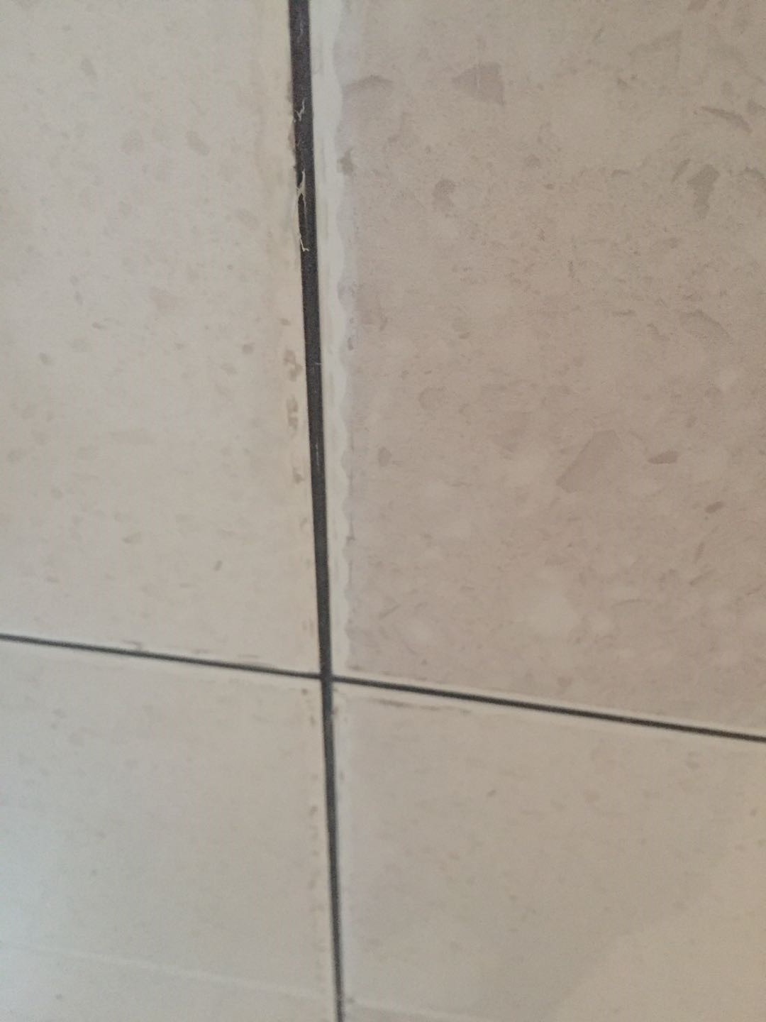 d95e0dc7b6cb54bbd68d33f06adcbb3.jpg