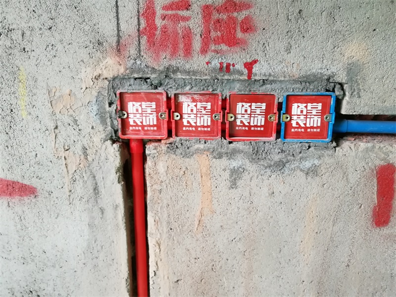 IMG_20181106_092530.jpg