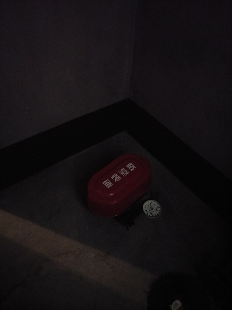 IMG20190105084655.jpg