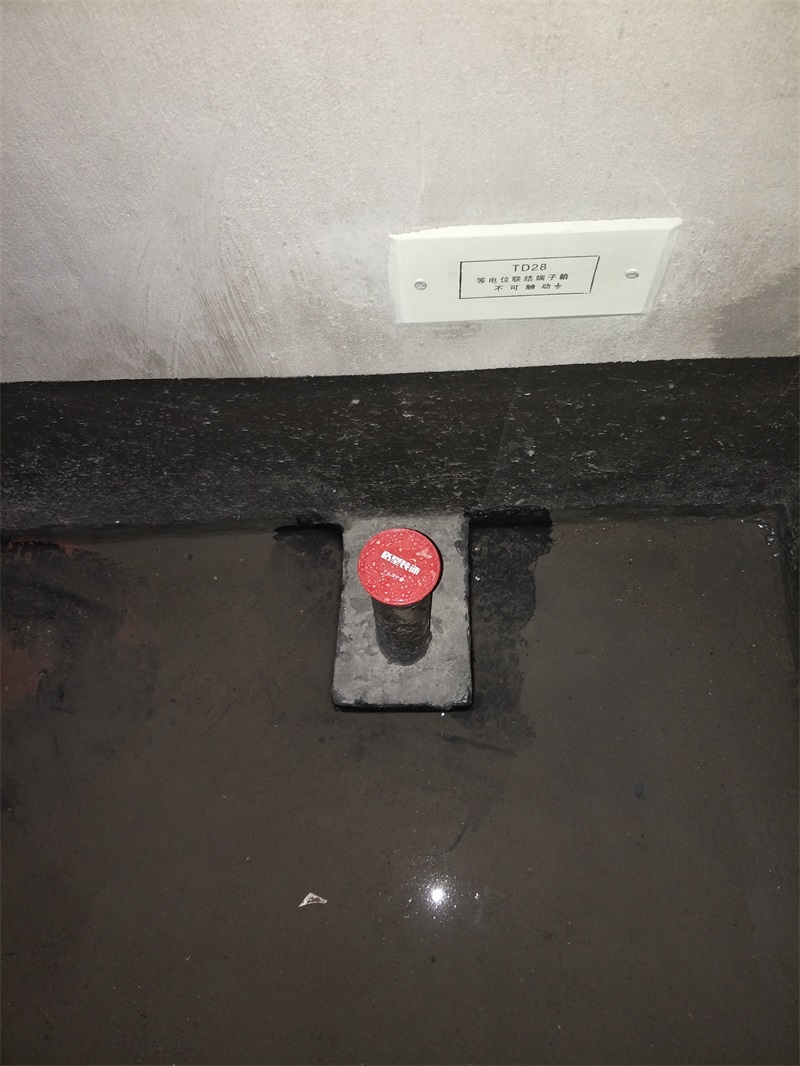 IMG20190113091523.jpg