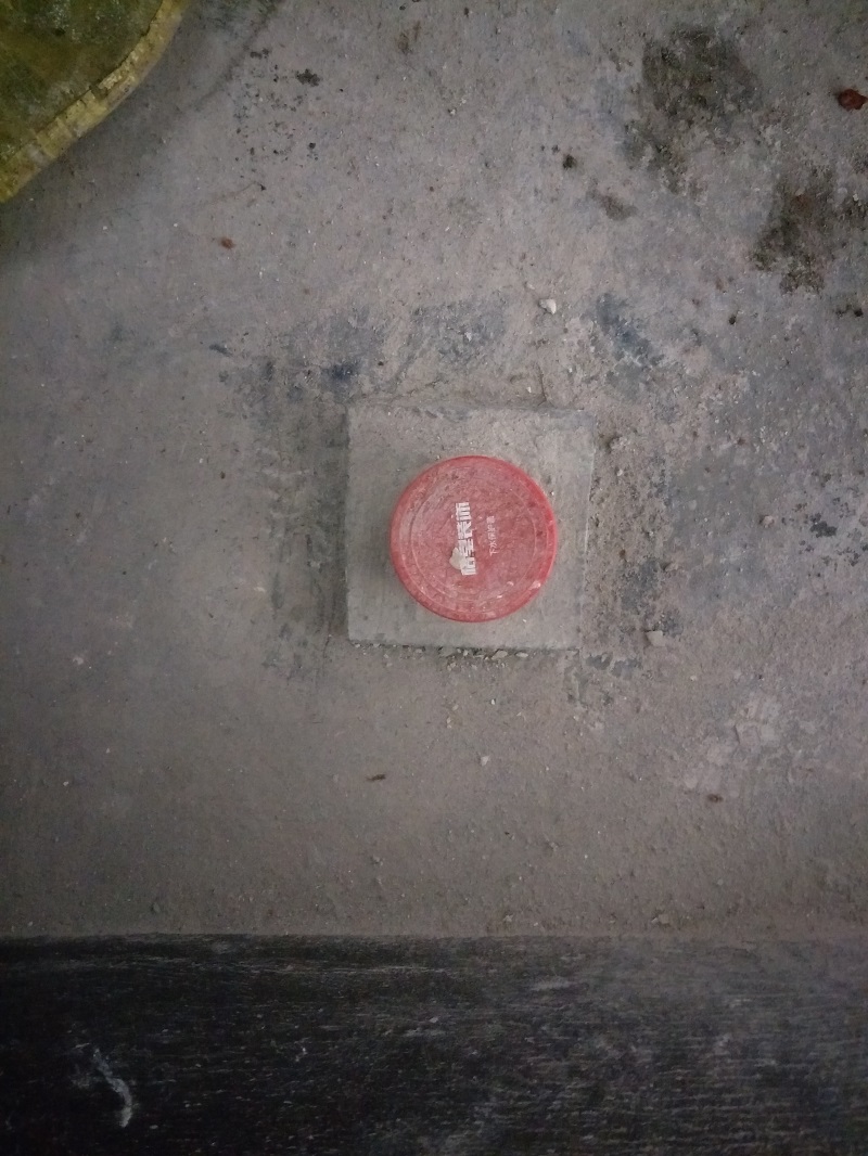 IMG20190113091550.jpg