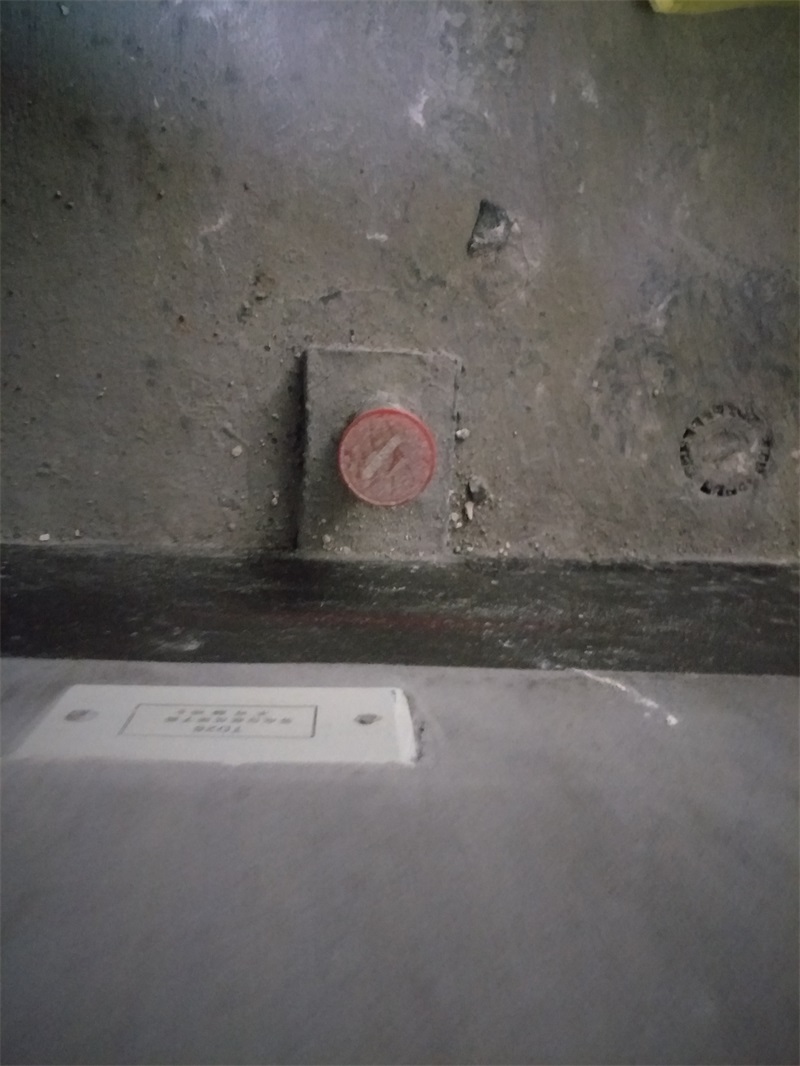 IMG20190113091555.jpg