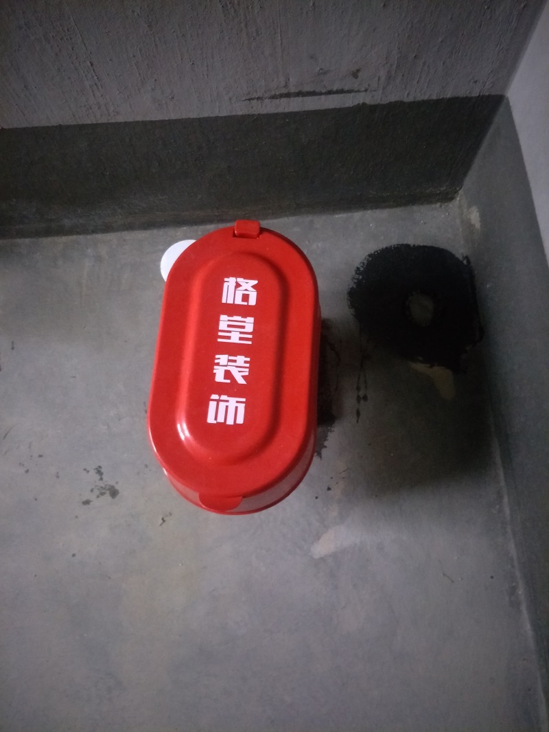 IMG20190115082032.jpg