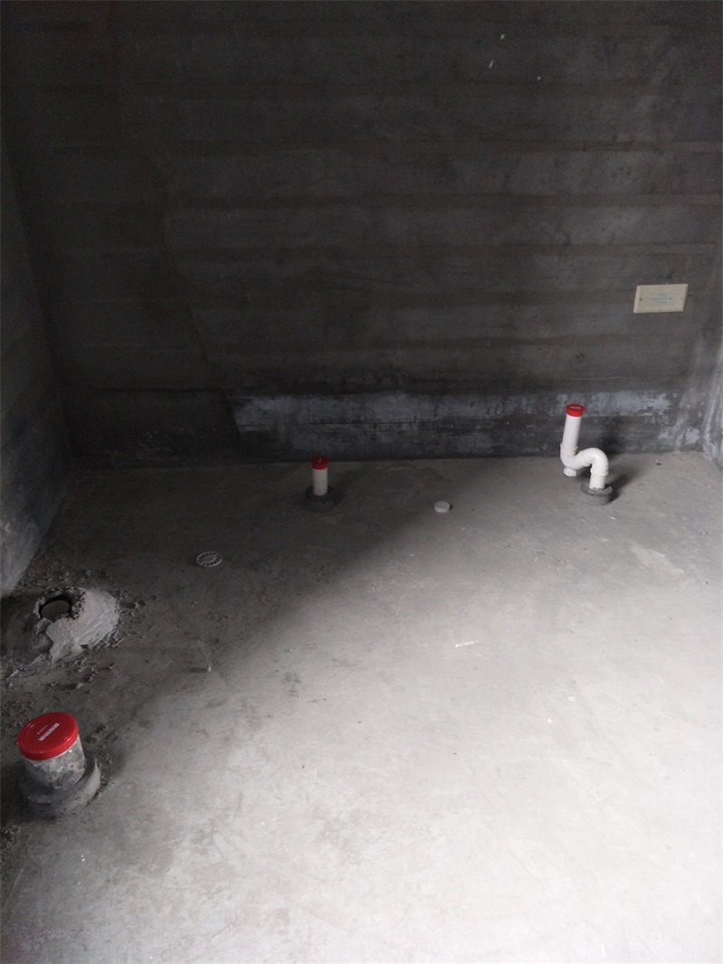 IMG20190116104146.jpg