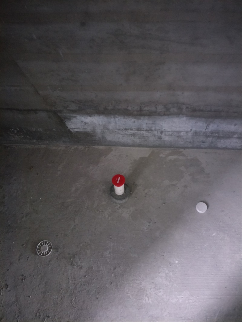 IMG20190116104138.jpg