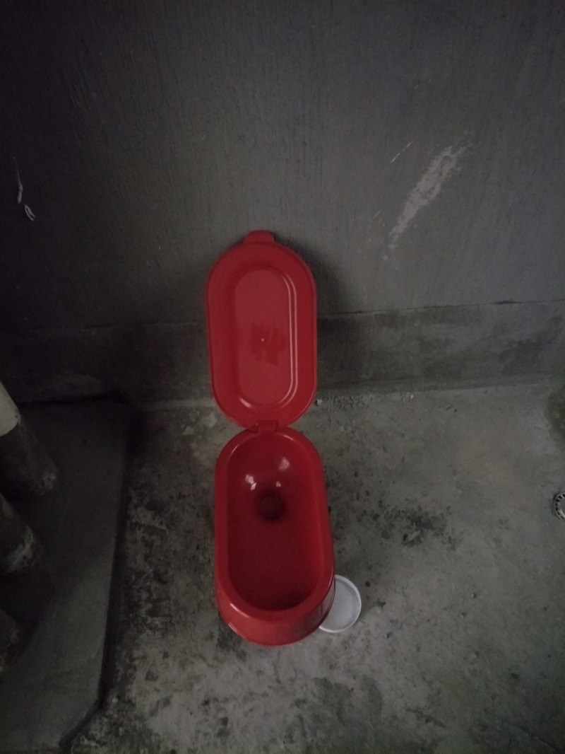 IMG20190118093323.jpg