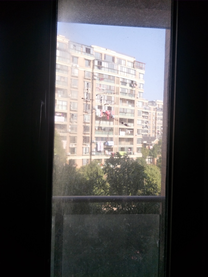 IMG20190123111113.jpg