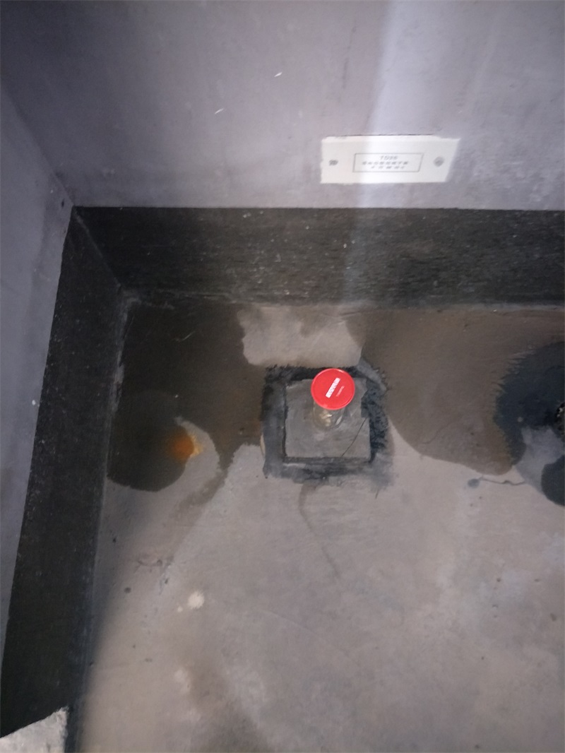 IMG20190123140701.jpg