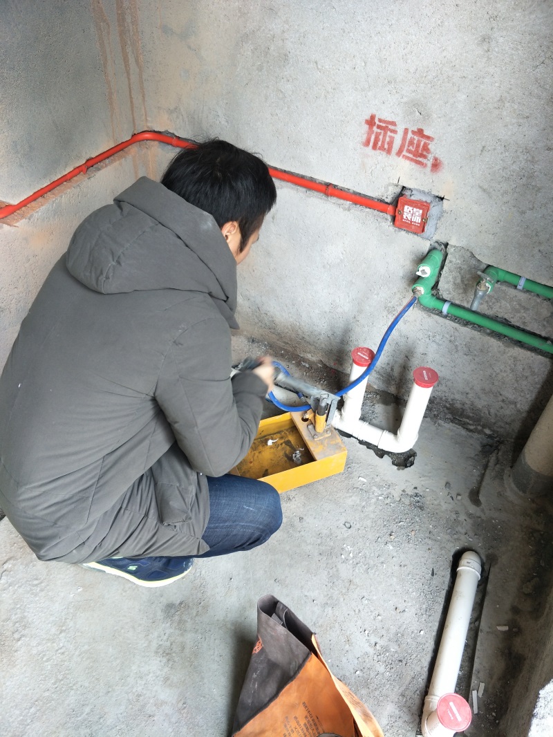 IMG20190124140136.jpg
