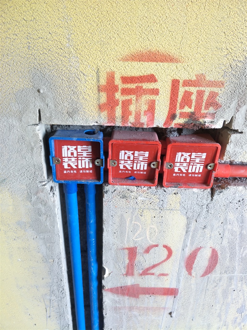 IMG20190126150653.jpg