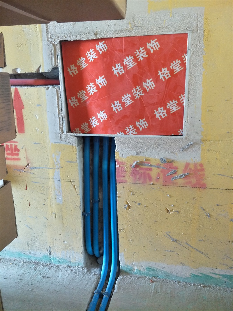 IMG20190126150725.jpg