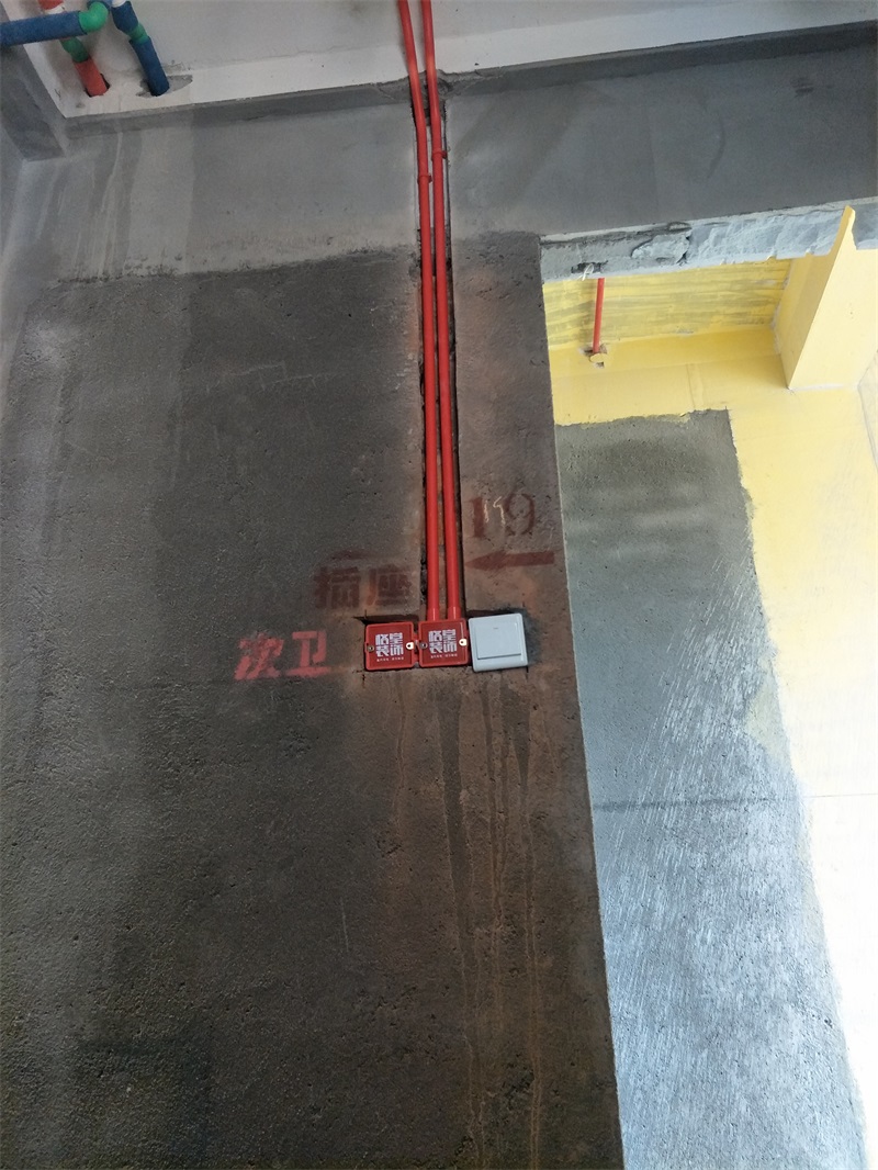 IMG20190126145131.jpg
