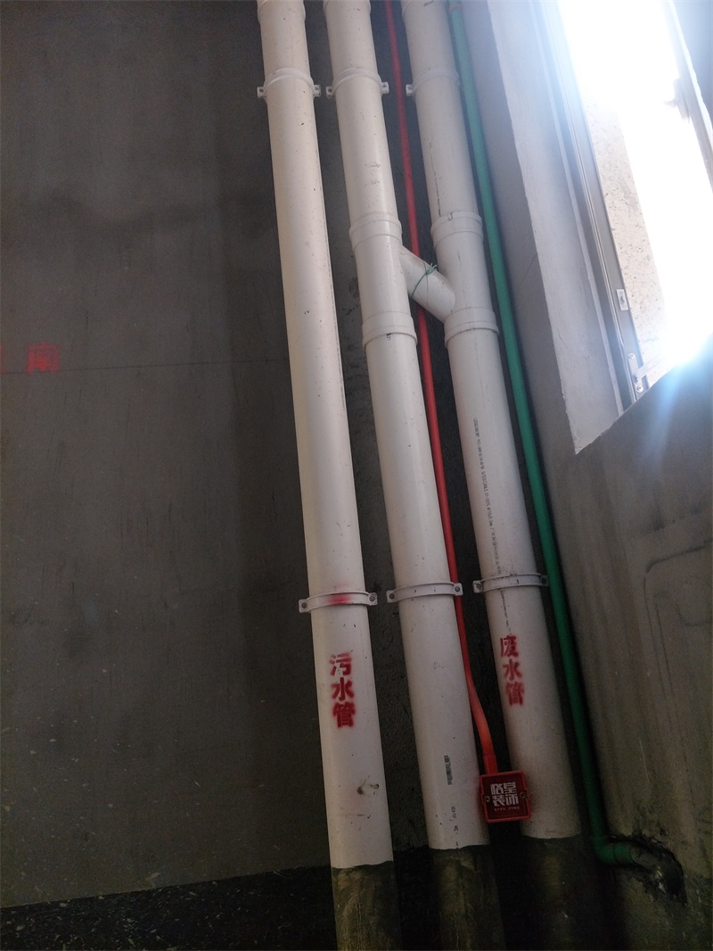 IMG20190126145154.jpg
