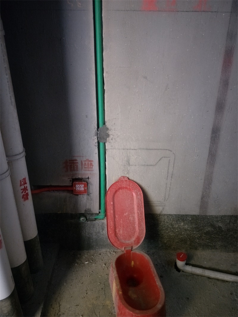 IMG20190126145923.jpg