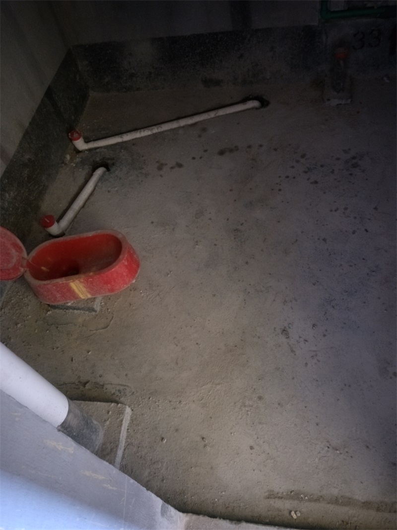 IMG20190126145917.jpg