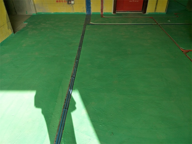 IMG20190124151616.jpg