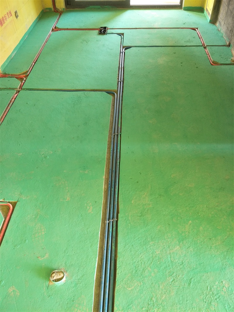 IMG20190124152334.jpg